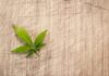 Czym się różni legalizacja od wzorcowania? Czym się różni legalizacja od wzorcowania?
